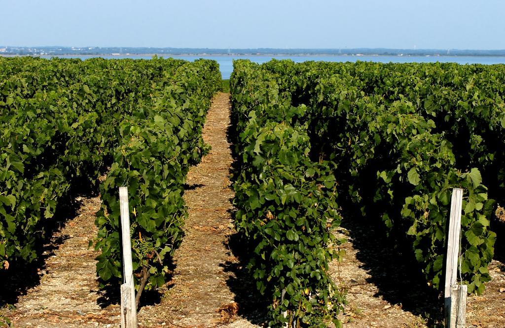 Vvf Soulac-Sur-Mer Bordeaux Medoc Exteriér fotografie